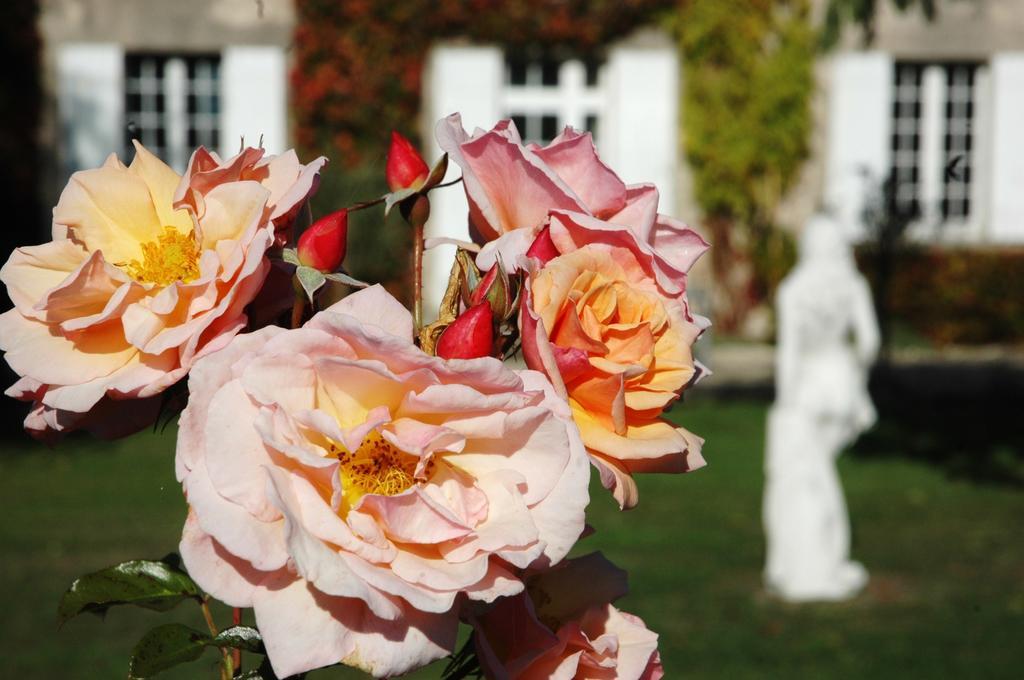 Domaine De La Queyssie Bed & Breakfast Saussignac Dış mekan fotoğraf